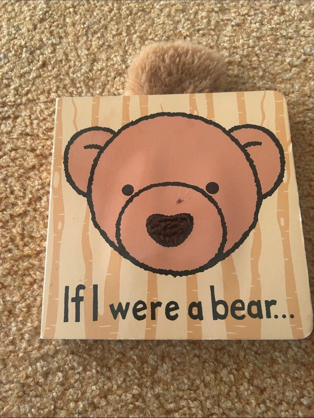 Jellycat Tan & Brown Bear Touch and Feel Board Book